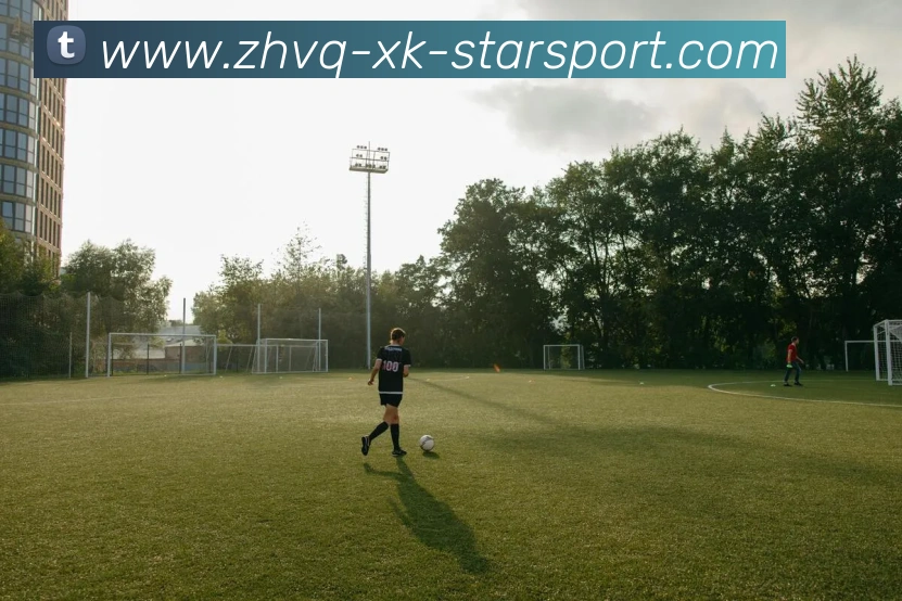 App Interface Preview