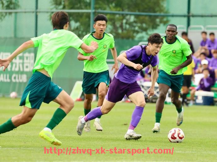 星空体育-德甲球队赢盘率数据与走势分析